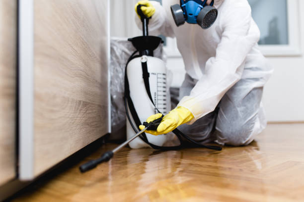 Best Affordable Pest Control Services  in Richmond Hill, GA
