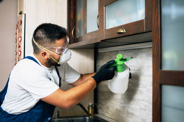 Best Insect Control  in Richmond Hill, GA