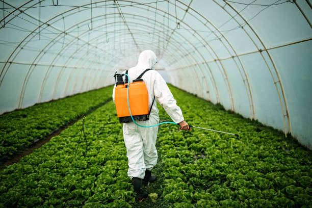 Best Affordable Pest Control Services  in Richmond Hill, GA