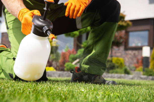 Best Pest Removal Services  in Richmond Hill, GA