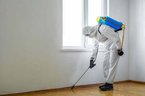 Best Flea Control Services  in Richmond Hill, GA