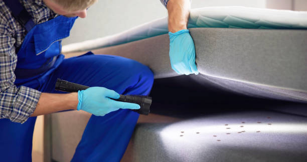Best Pest Control Near Me in Richmond Hill, GA