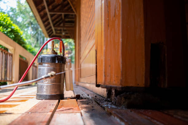 Best Affordable Pest Control Services  in Richmond Hill, GA