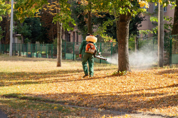 Best Best Pest Control Near Me  in Richmond Hill, GA