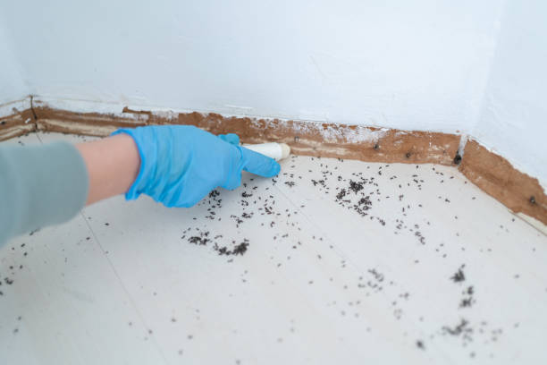 Pest Prevention Services in Richmond Hill, GA