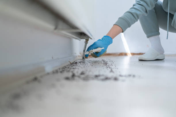 Best Emergency Pest Control  in Richmond Hill, GA