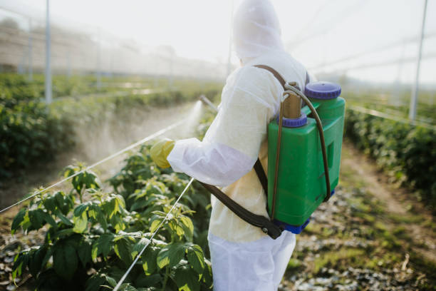 Wasp Removal Services in Richmond Hill, GA